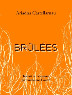 livres qui dérangent 03 brûlées ariadna castellarnau